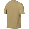 Nike Dri-Fit Park VIII Vyriški Marškinėliai Gold HV8173 729