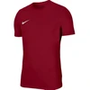 Nike Dri-Fit Park VIII Vyriški marškinėliai Bordo HV8173 677
