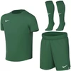 Nike Dri-Fit Park VIII žalias HV8260 302 vaikiškas sportinis komplektas
