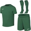 Nike Dri-Fit Park VIII žalias HV8260 302 vaikiškas sportinis komplektas