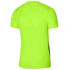 Nike Dri-FIT Precision 6 M marškinėliai DR0944-702