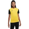 Nike Dri-Fit Tiempo Premier 2 Jr Marškinėliai DH8389-719