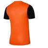 Nike Dri-Fit Tiempo Premier 2 Jr Marškinėliai DH8389-819