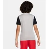 Nike Dri-Fit Tiempo Premier 2 Jr marškinėliai DH8389-052