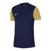 Nike Dri-Fit Tiempo Premier 2 M Marškinėliai DH8035-411