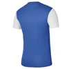 Nike Dri-Fit Tiempo Premier 2 M Marškinėliai DH8035-463