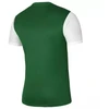 Nike Dri-Fit Tiempo Premier 2 M Marškinėliai DH8035 302