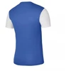 Nike Dri-Fit Tiempo Premier 2 M Marškinėliai DH8035-463