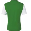 Nike Dri-Fit Tiempo Premier 2 M Marškinėliai DH8035 302