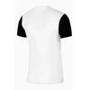 Nike Dri-Fit Trophy 5 Jaunimo DR0942-100