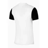 Nike Dri-Fit Trophy 5 Jaunimo DR0942-100