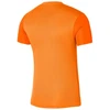 Nike Dri-FIT Trophy 5 M DR0933-819 Marškinėliai