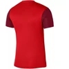 Nike Dri-FIT Trophy V JSY SS marškinėliai DR0942 657