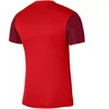 Nike Dri-FIT Trophy V JSY SS marškinėliai DR0942 657