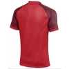 „Nike“ „Dri-FIT Trophy VI“ marškinėliai HV8151-657