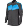 Nike Dry Academy Pro megztinis moterims BV6932-060