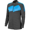 Nike Dry Academy Pro megztinis moterims BV6932-060