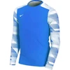 Nike Dry Park IV JSY LS GK Jr CJ6072-463