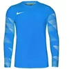 Nike Dry Park IV JSY LS GK Jr CJ6072-463