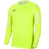 Nike Dry Park IV JSY LS GK Jr CJ6072-702 Marškiniai