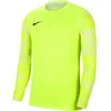 Nike Dry Park IV JSY LS GK Jr CJ6072-702 Marškiniai