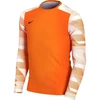 Nike Dry Park IV JSY LS GK Jr CJ6072-819
