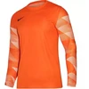 Nike Dry Park IV JSY LS GK Jr CJ6072-819