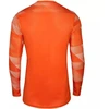 Nike Dry Park IV JSY LS GK Jr CJ6072-819