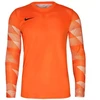 Nike Dry Park IV JSY LS GK Jr CJ6072-819