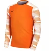 Nike Dry Park IV JSY LS GK Jr CJ6072-819