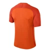 Nike Dry Trophy III Jr 881484-815 marškinėliai