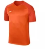 Nike Dry Trophy III marškinėliai vyrams 881483-815