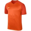 Nike Dry Trophy III marškinėliai vyrams 881483-815