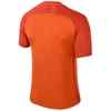 Nike Dry Trophy III marškinėliai vyrams 881483-815