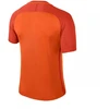 Nike Dry Trophy III marškinėliai vyrams 881483-815