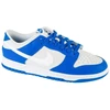 Nike Dunk Low M FN3416-001 batai