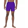 Nike Essential 5 M NESSF560 536 maudymosi šortai