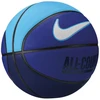 Nike Everyday All Court 8P Kamuolys N1004369-425