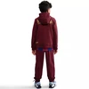 Nike FC Barcelona SE FZ1285-677 bliuzonas