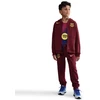 Nike FC Barcelona SE FZ1285-677 bliuzonas