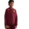 Nike FC Barcelona SE FZ1285-677 bliuzonas