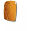 Nike Fly Essential Šortai Moterims Chutney/Balta - CU4573-712