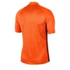 Nike Gardien III GK M BV6714-803 Vartininko marškinėliai