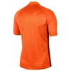 Nike Gardien III GK M BV6714-803 Vartininko marškinėliai