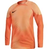 Nike Gardien IV Vartininko Marškinėliai M DH7967 819