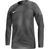 Nike Gardien IV Vartininko Marškinėliai M DH7967 060