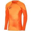 Nike Gardien IV Vartininko Marškinėliai M DH7967 819