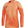 Nike Gardien IV Vartininko Marškinėliai M DH7967 819