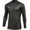 Nike Gardien V Vartininko Dzempere DF VM FD7474-060