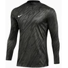 Nike Gardien V Vartininko Dzempere DF VM FD7474-060